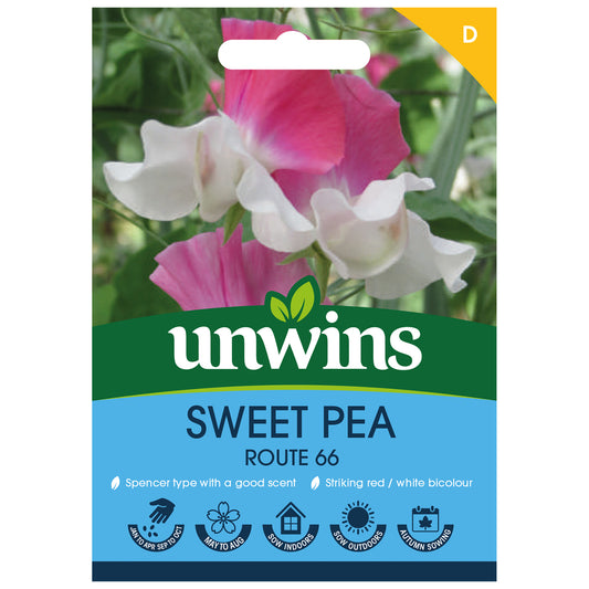 Unwins Sweet Pea Route 66 Seeds - front