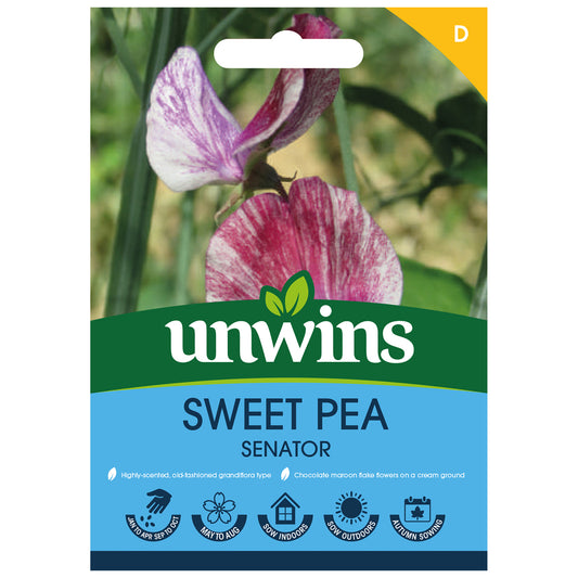 Unwins Sweet Pea Senator Seeds - front