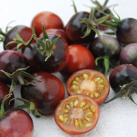 Unwins Cherry Tomato Indigo Blue Berries Seeds
