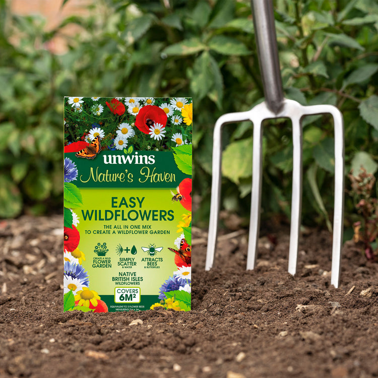 perennial wildflower seeds uk Nature's Haven Easy Wildflowers