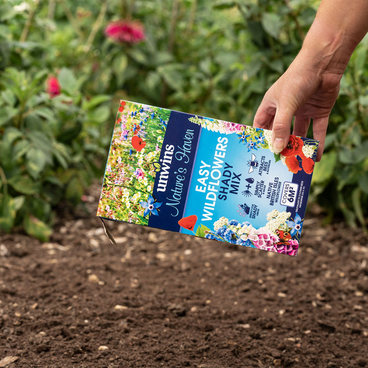 wildflower seeds for shady areas uk Nature's Haven Easy Wildflowers Shady Mix