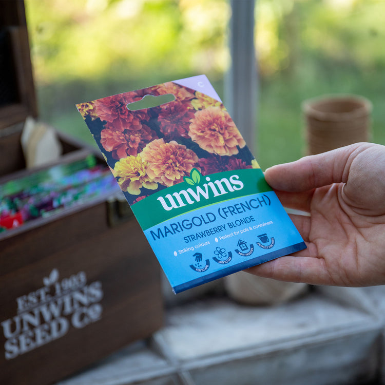 french strawberry seeds Unwins French Marigold Strawberry Blonde Seeds