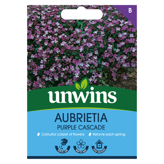 Unwins Aubrietia Purple Cascade Seeds Front
