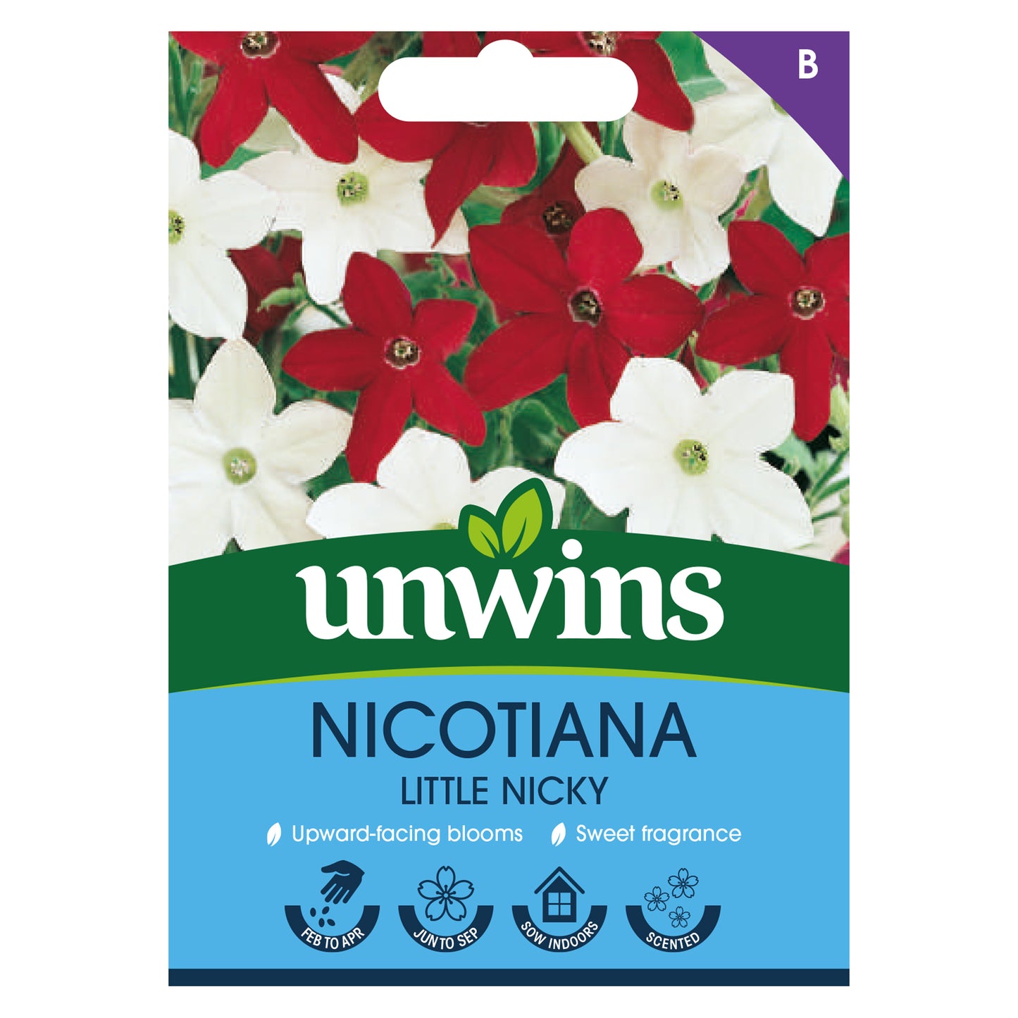 Unwins Nicotiana Little Nicky Seeds front of pack