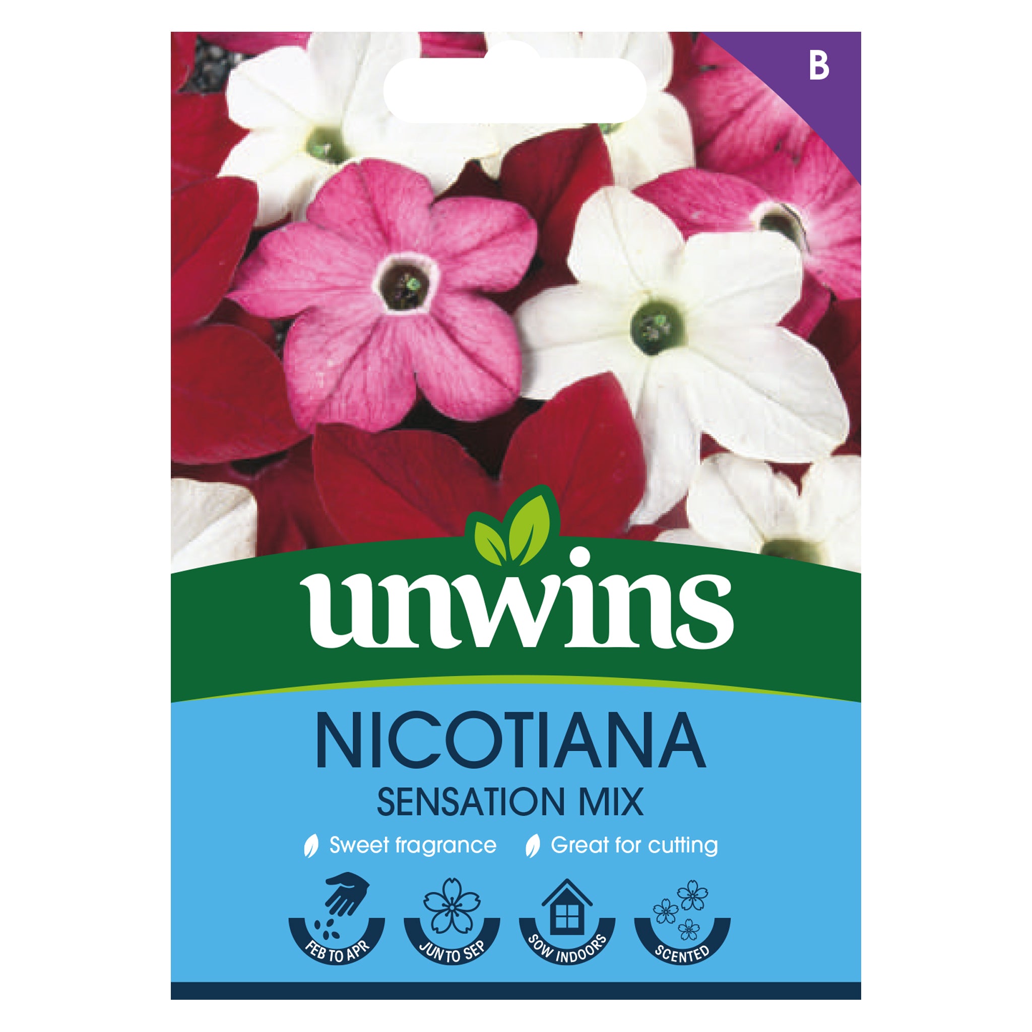 Unwins Nicotiana Sensation Mix Seeds