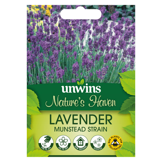 Nature's Haven Lavender Munstead Strain Seeds front of pack