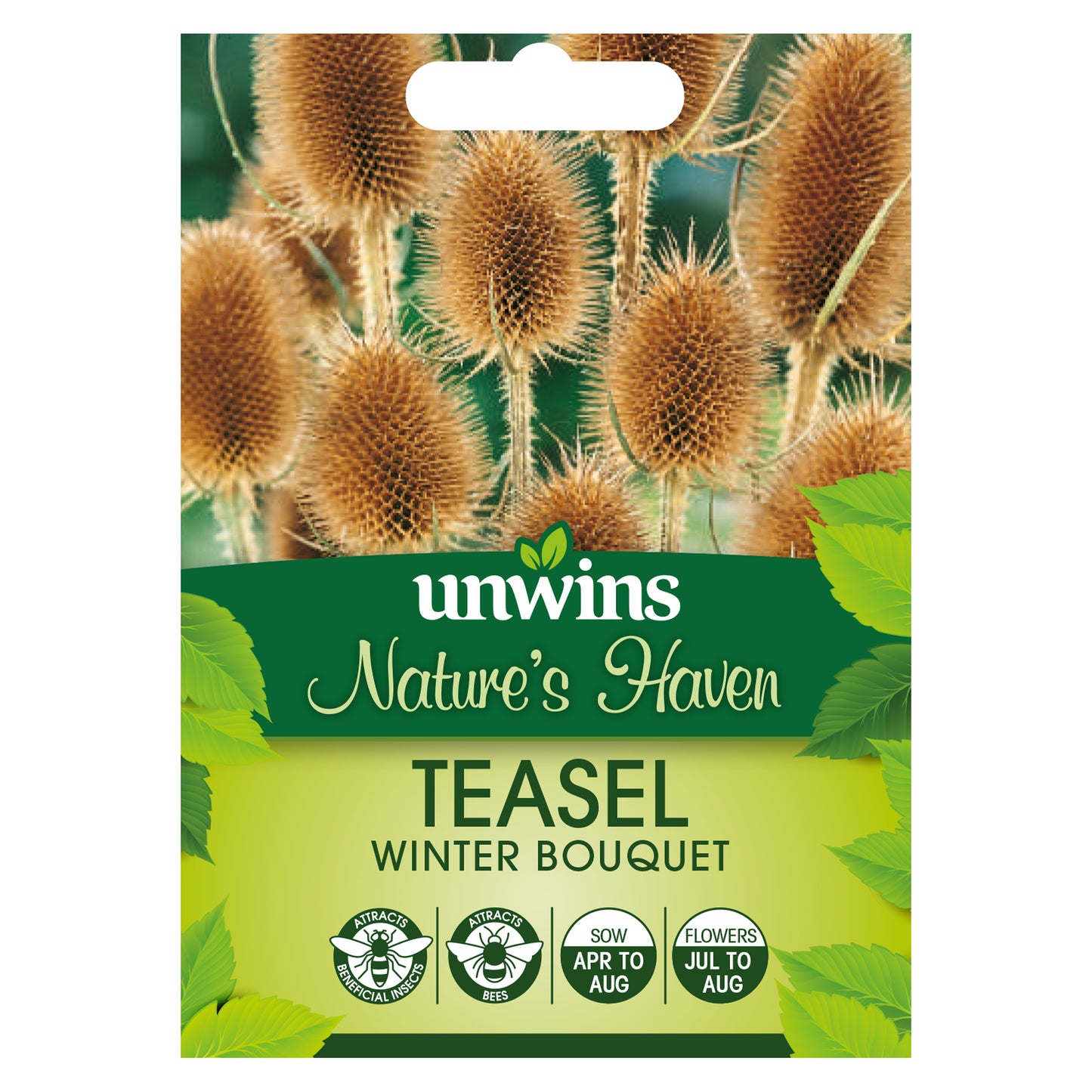 Nature's Haven Teasel Winter Bouquet Seeds front of pack