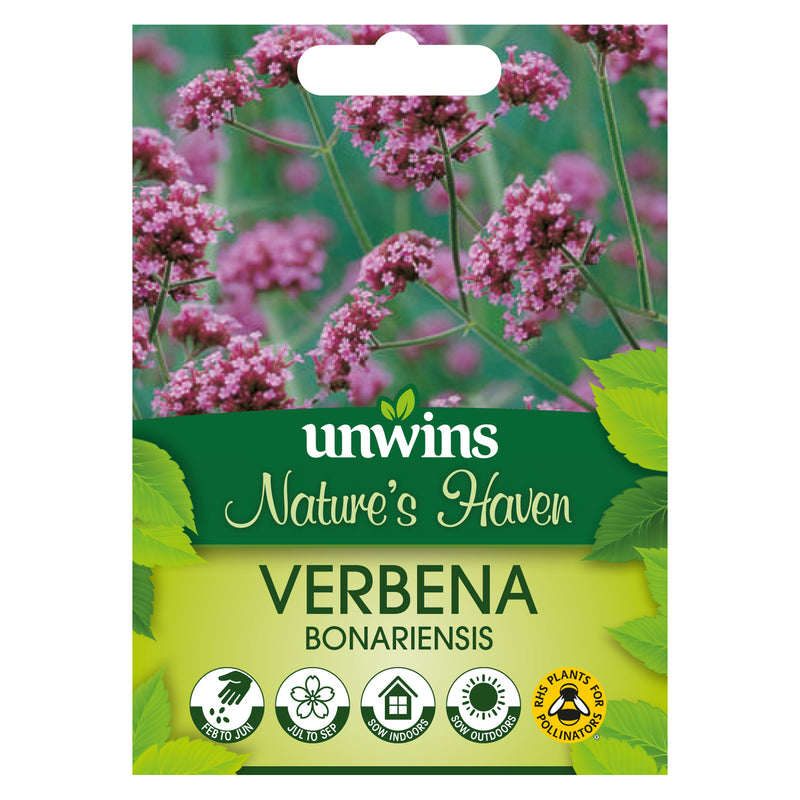 Nature's Haven Verbena Bonariensis Seeds