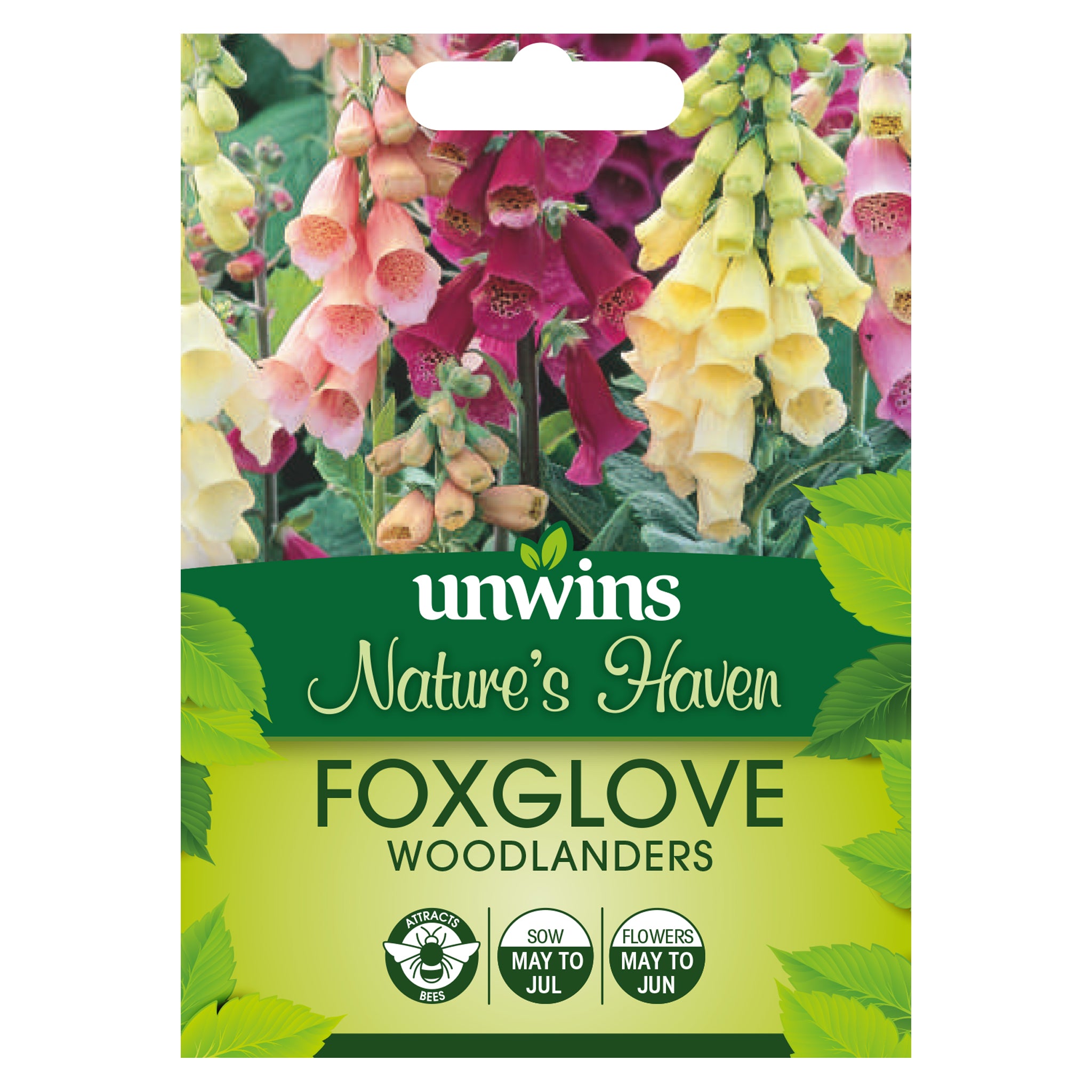 Nature's Haven Foxglove Woodlanders Seeds