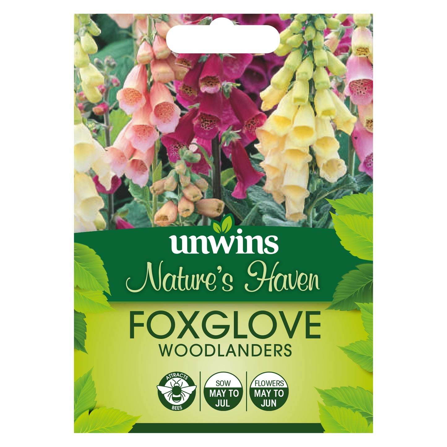 Nature's Haven Foxglove Woodlanders Seeds front of pack