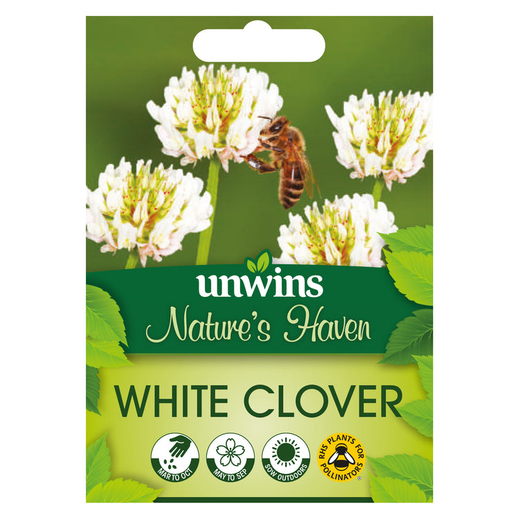 Nature's Haven White Clover Seeds