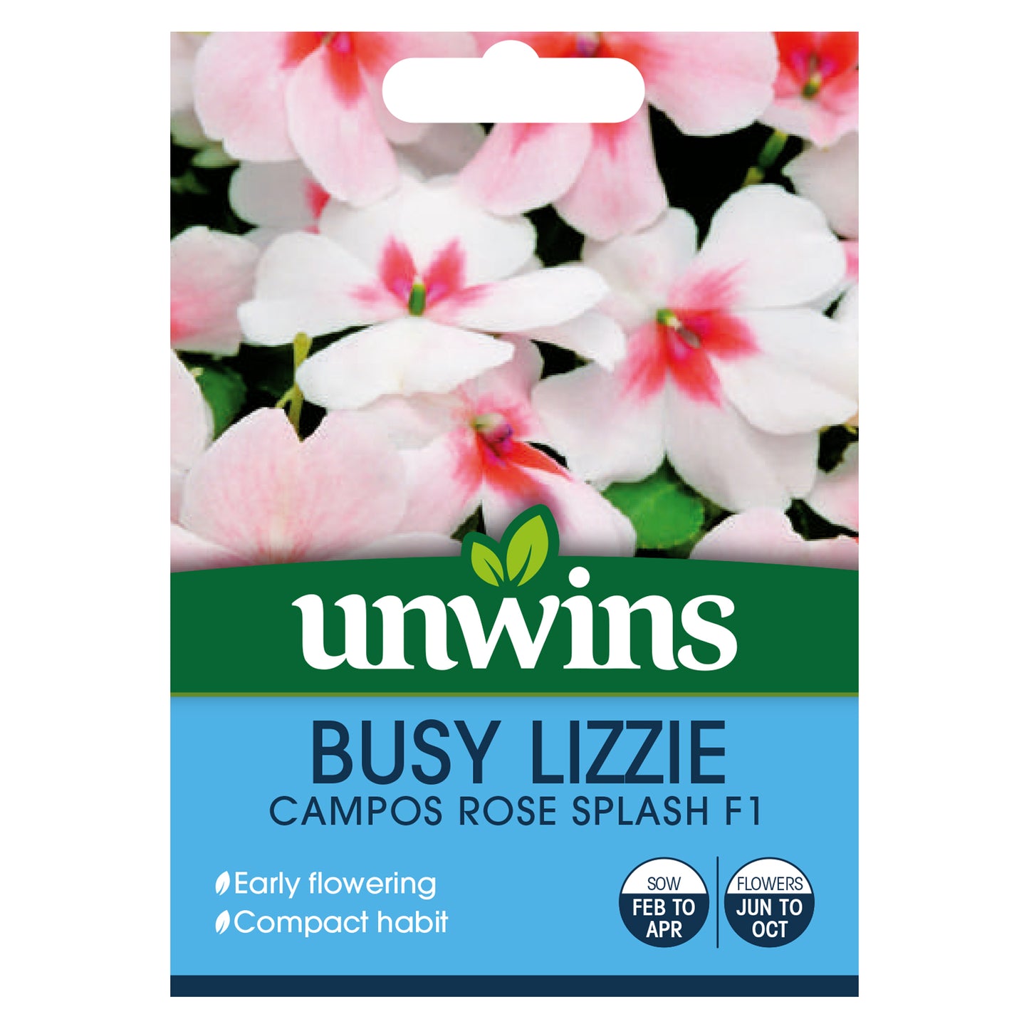 Unwins Busy Lizzie Campos Rose Splash Seeds front of pack