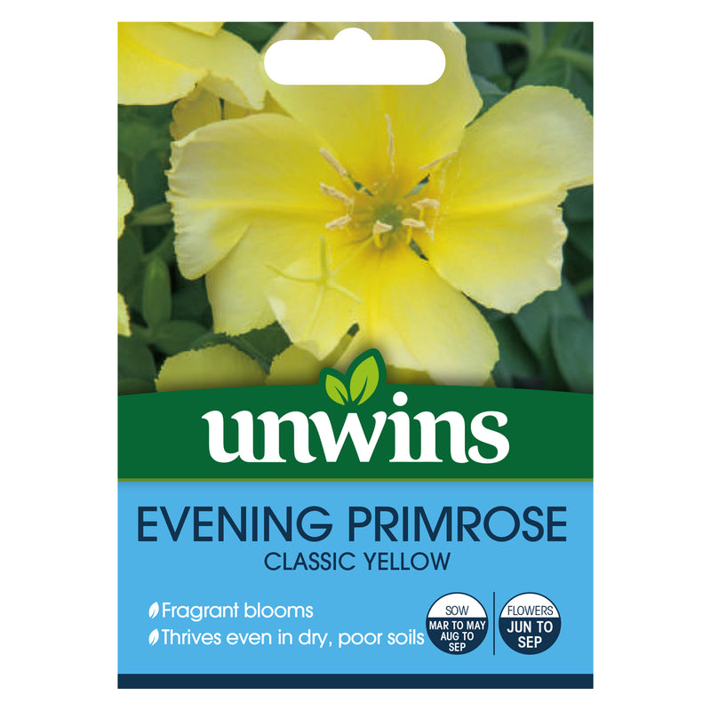 Nature's Haven Wildflower Evening Primrose Seeds