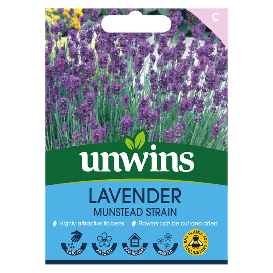 Unwins Lavender Munstead Strain Seeds