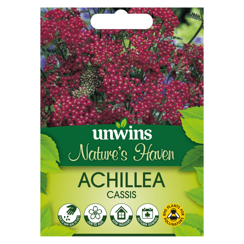 Nature's Haven Achillea Cassis Seeds