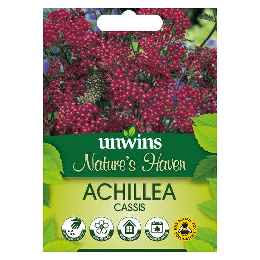 Unwins Nature's Haven Achillea Cassis Front