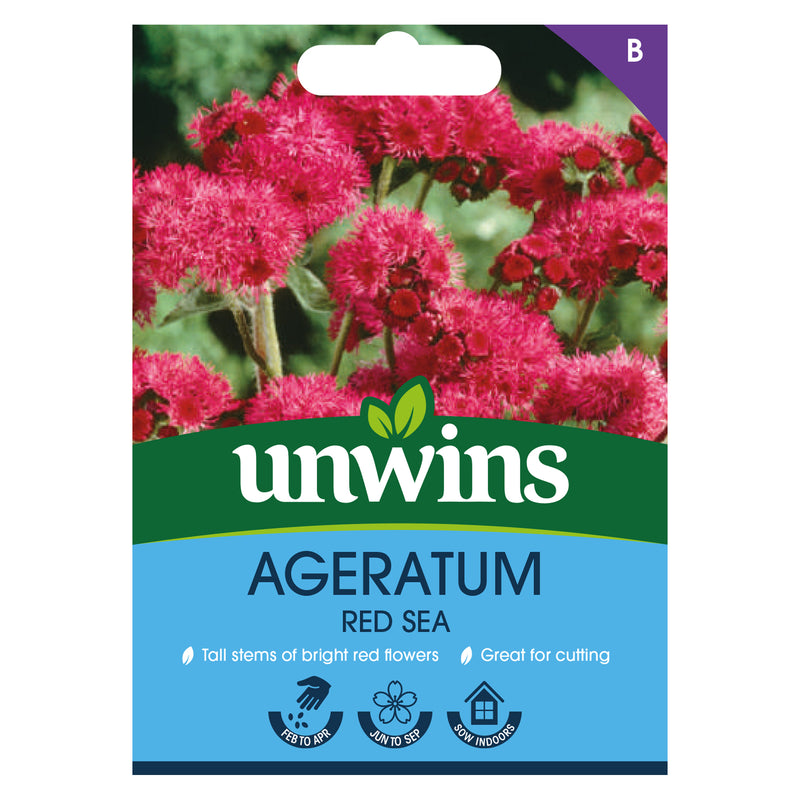 Unwins Ageratum Red Sea Seeds