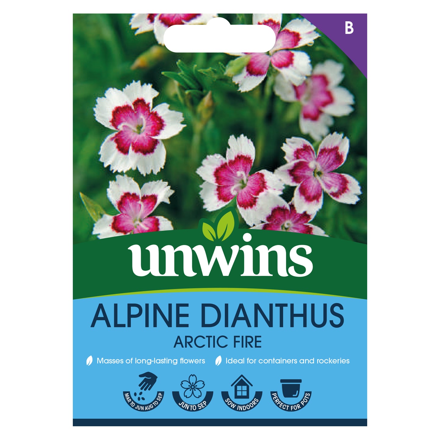 Unwins Alpine Dianthus Arctic Fire Seeds Front