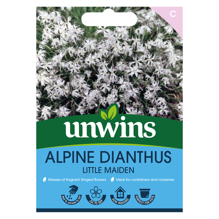 alpine plant seeds for sale Unwins Alpine Dianthus Little Maiden Seeds