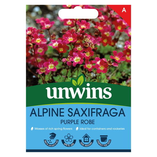 Unwins Alpine Saxifraga Purple Robe Seeds Front