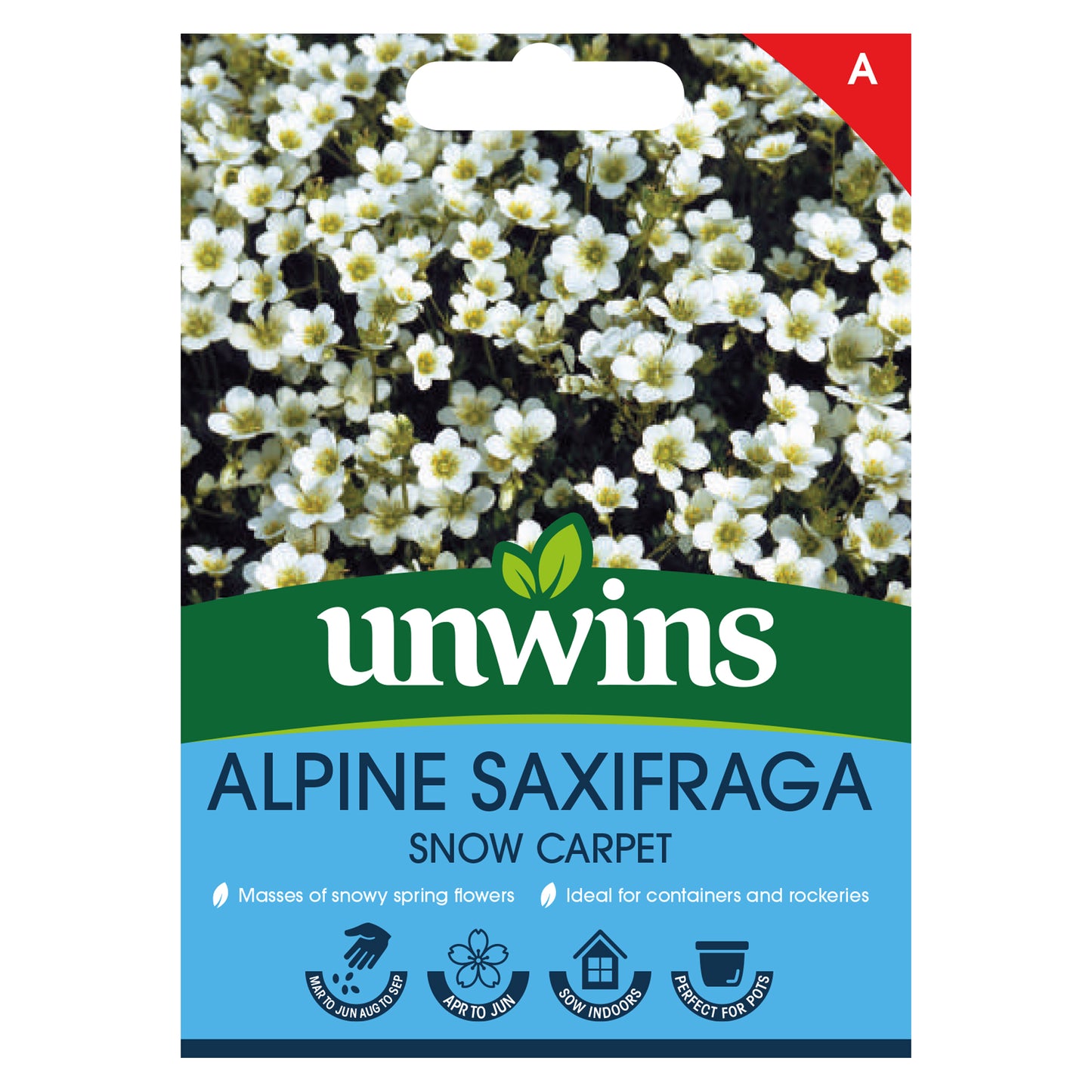 Unwins Alpine Saxifraga Snow Carpet Seeds Front