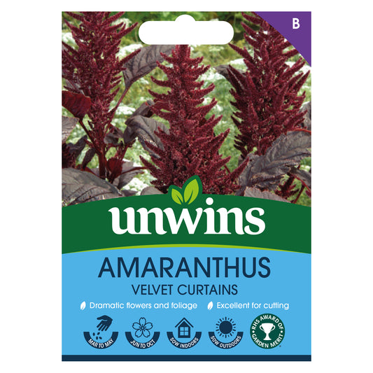 Unwins Amaranthus Velvet Curtains Seeds Front