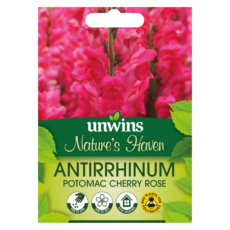 Nature's Haven Antirrhinum Potomac Cherry Rose Seeds
