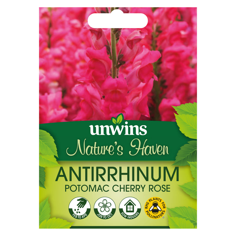 Nature's Haven Antirrhinum Potomac Cherry Rose Seeds