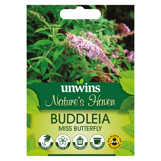 Nature's Haven Buddleia Miss Butterfly Seeds front