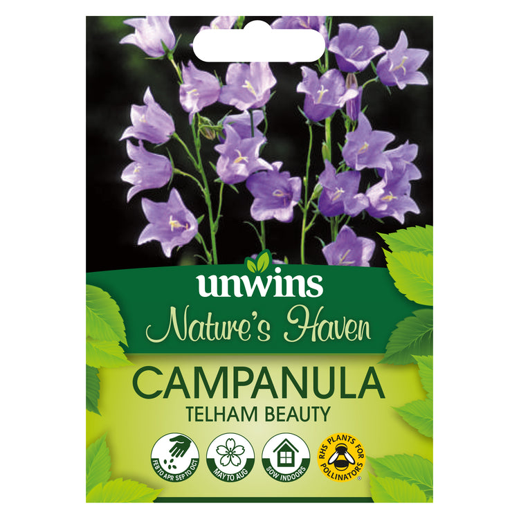 Nature's Haven Campanula Telham Beauty Seeds
