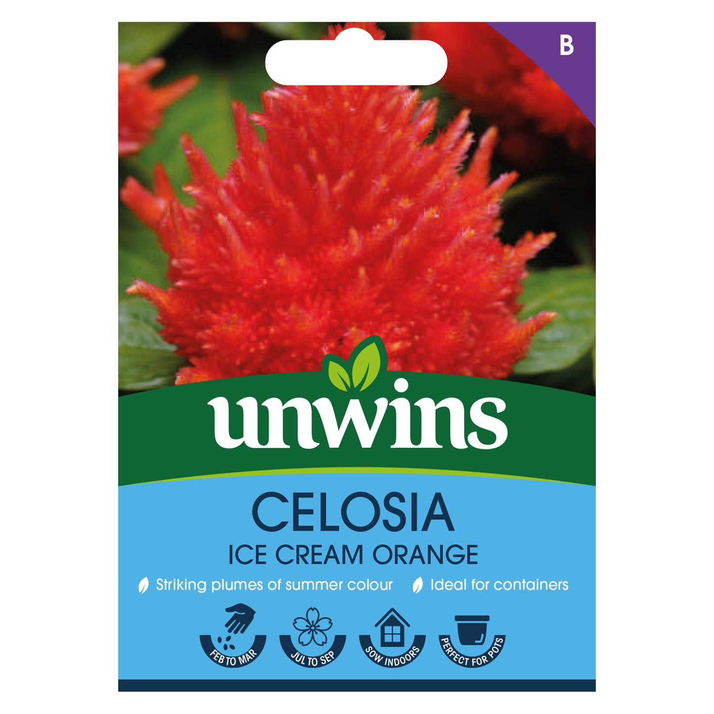 Unwins Celosia Ice Cream Orange Seeds Front