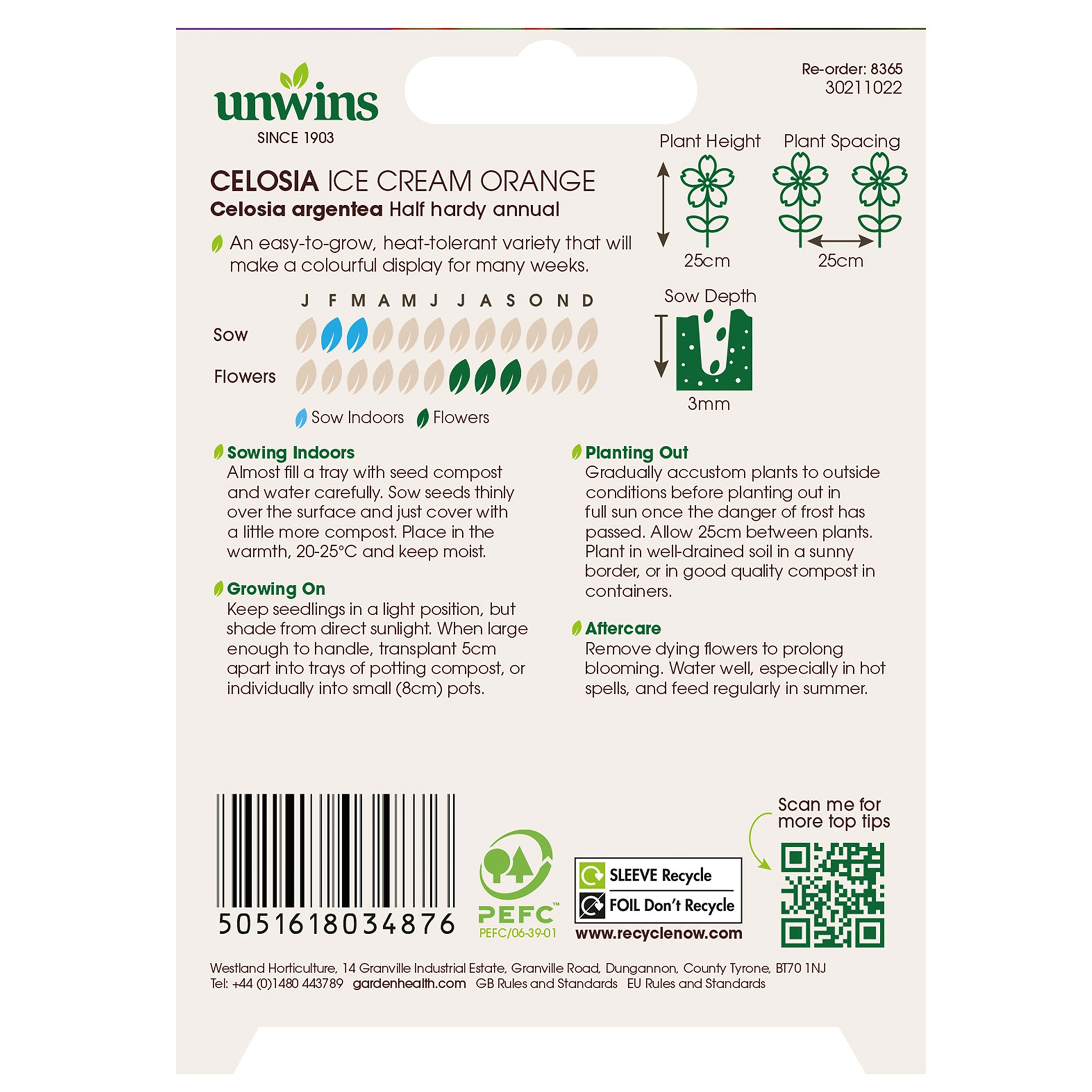 Unwins Celosia Ice Cream Orange Seeds