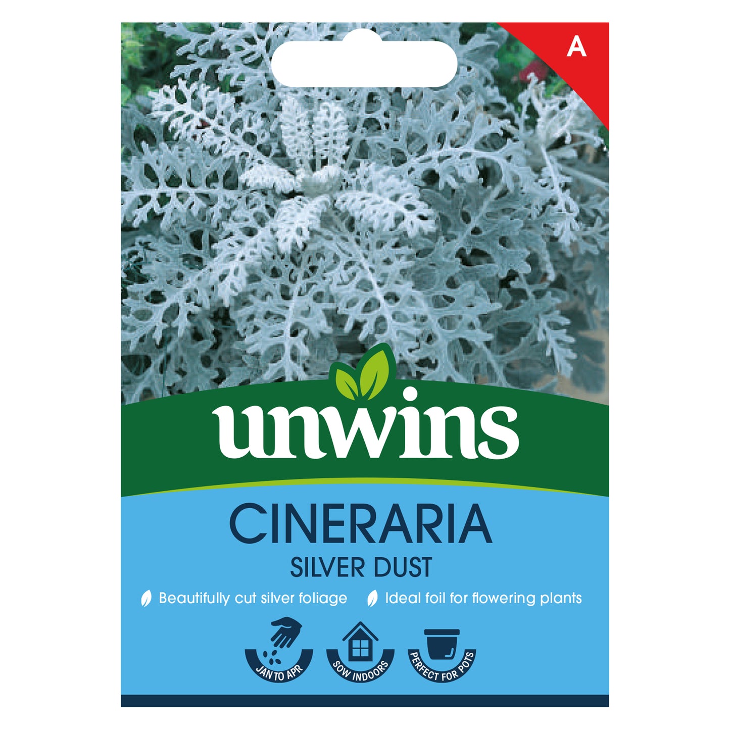 Unwins Cineraria Silver Dust Seeds Front