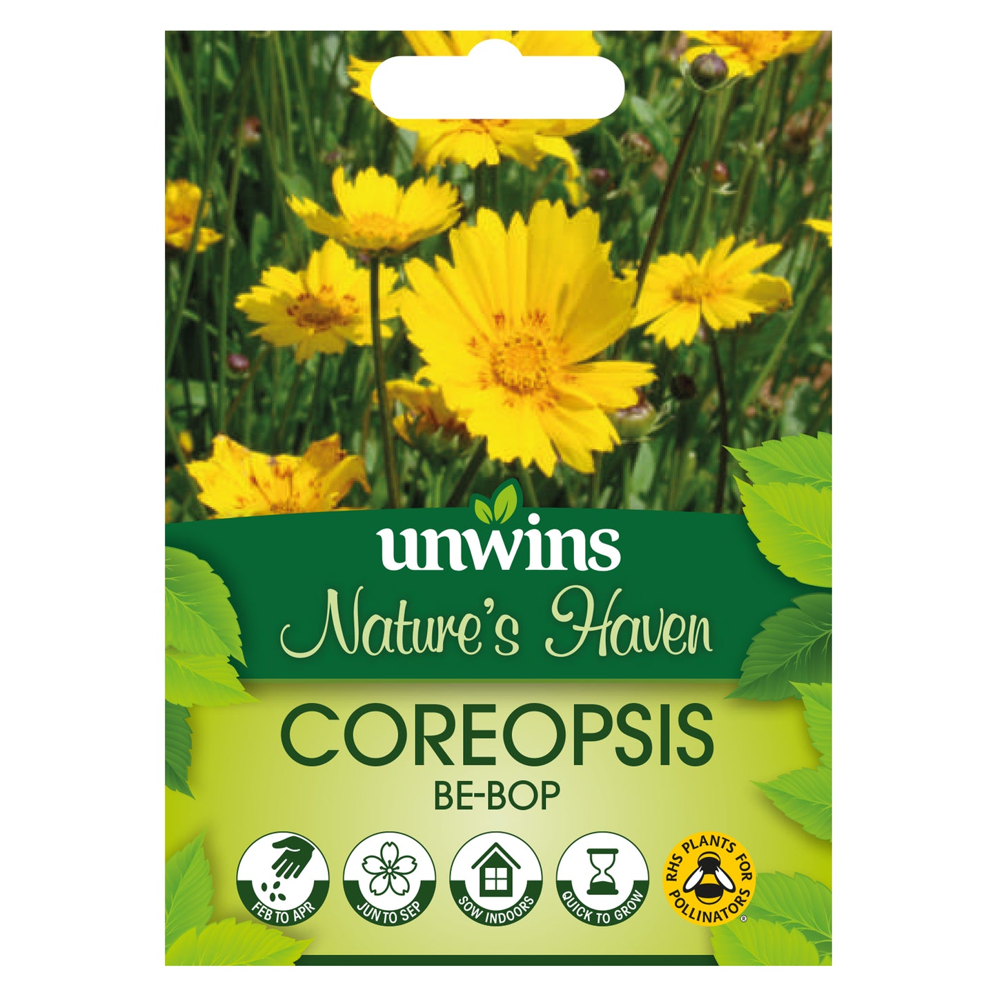Nature's Haven Coreopsis Be-Bop Seeds Front