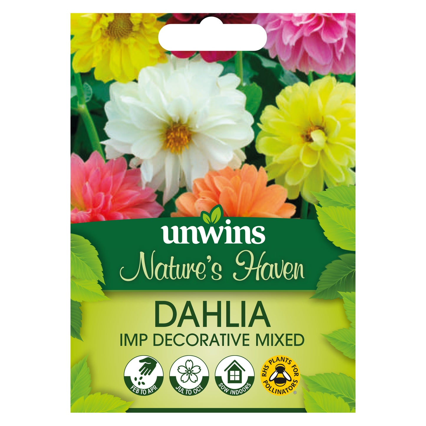 Nature's Haven Dahlia Imp Decorative Mixed Seeds