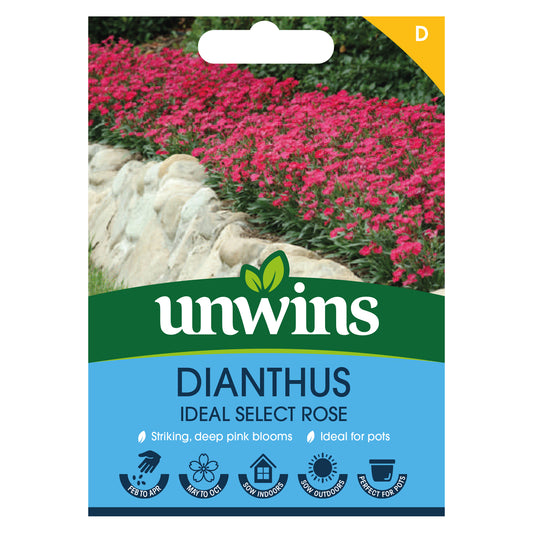 Unwins Dianthus Ideal Select Rose Seeds Front