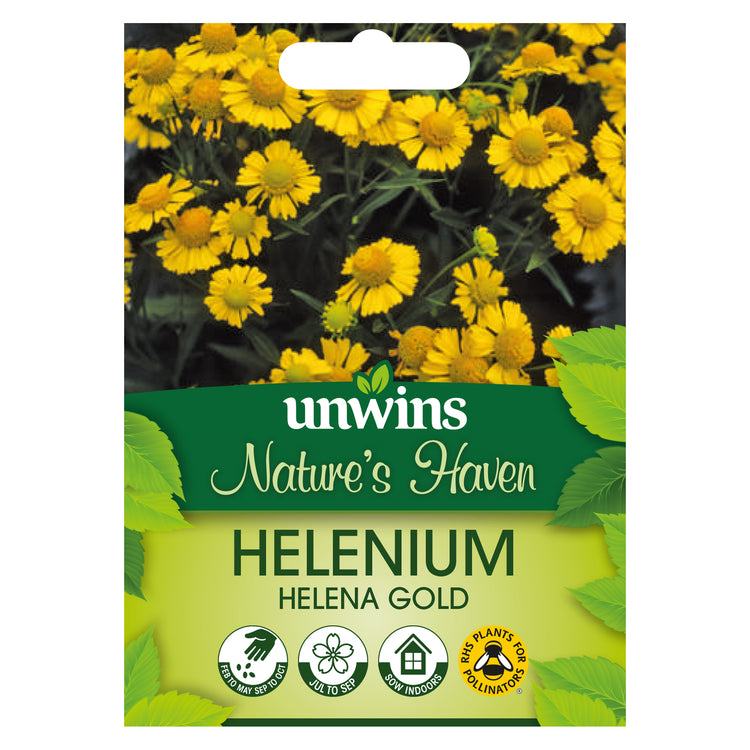 helenium flower seeds Nature's Haven Helenium Helena Gold Seeds
