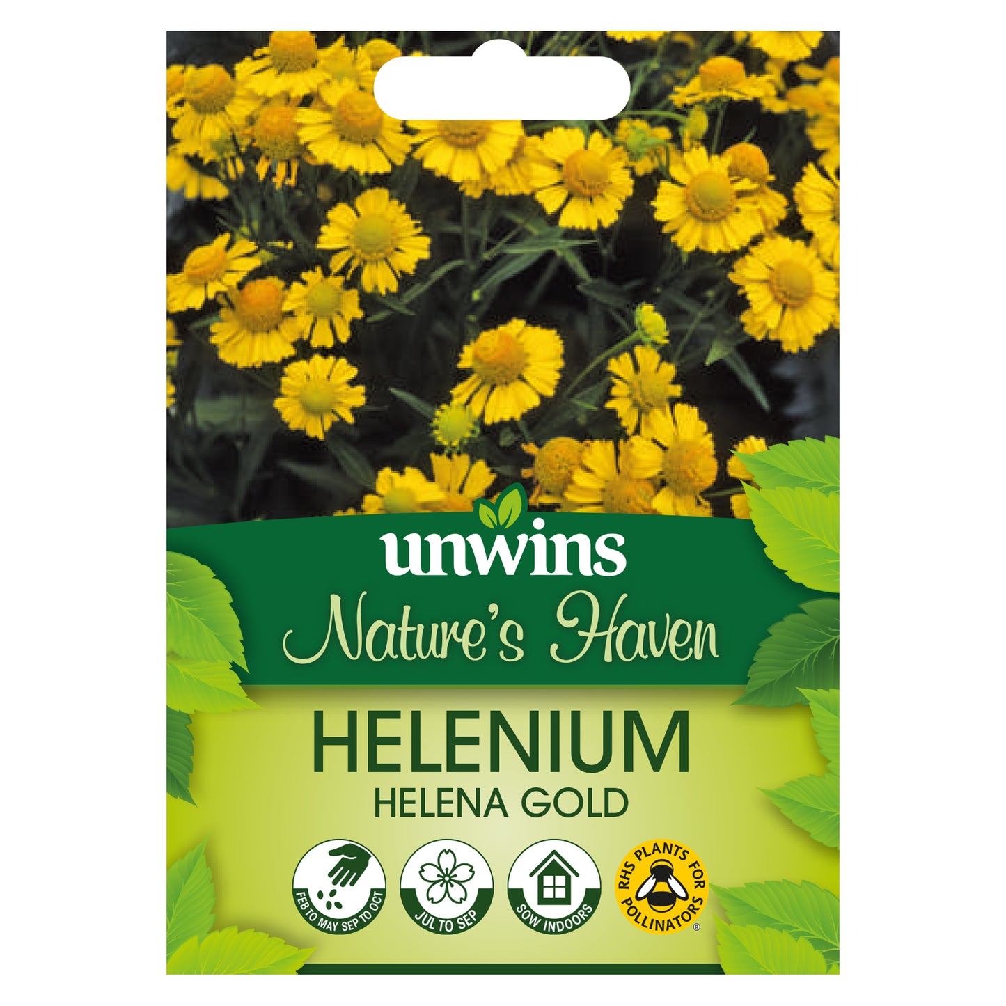 Nature's Haven Helenium Helena Gold Seeds front of pack