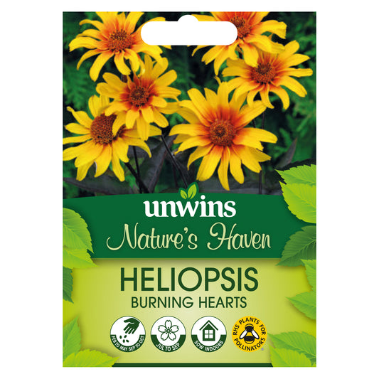 Nature's Haven Heliopsis Burning Hearts Seeds front of pack