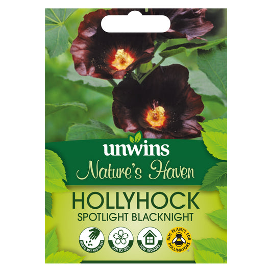 Nature's Haven Hollyhock Spotlight Blacknight Seeds front of pack