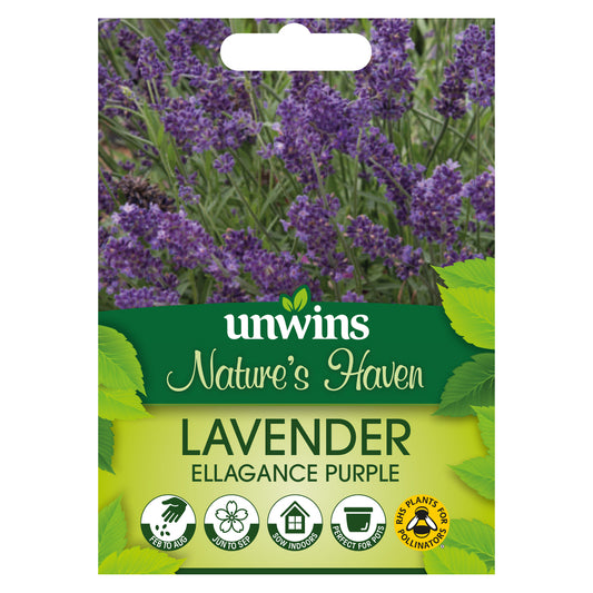 Nature's Haven Lavender Ellagance Purple Seeds front of pack