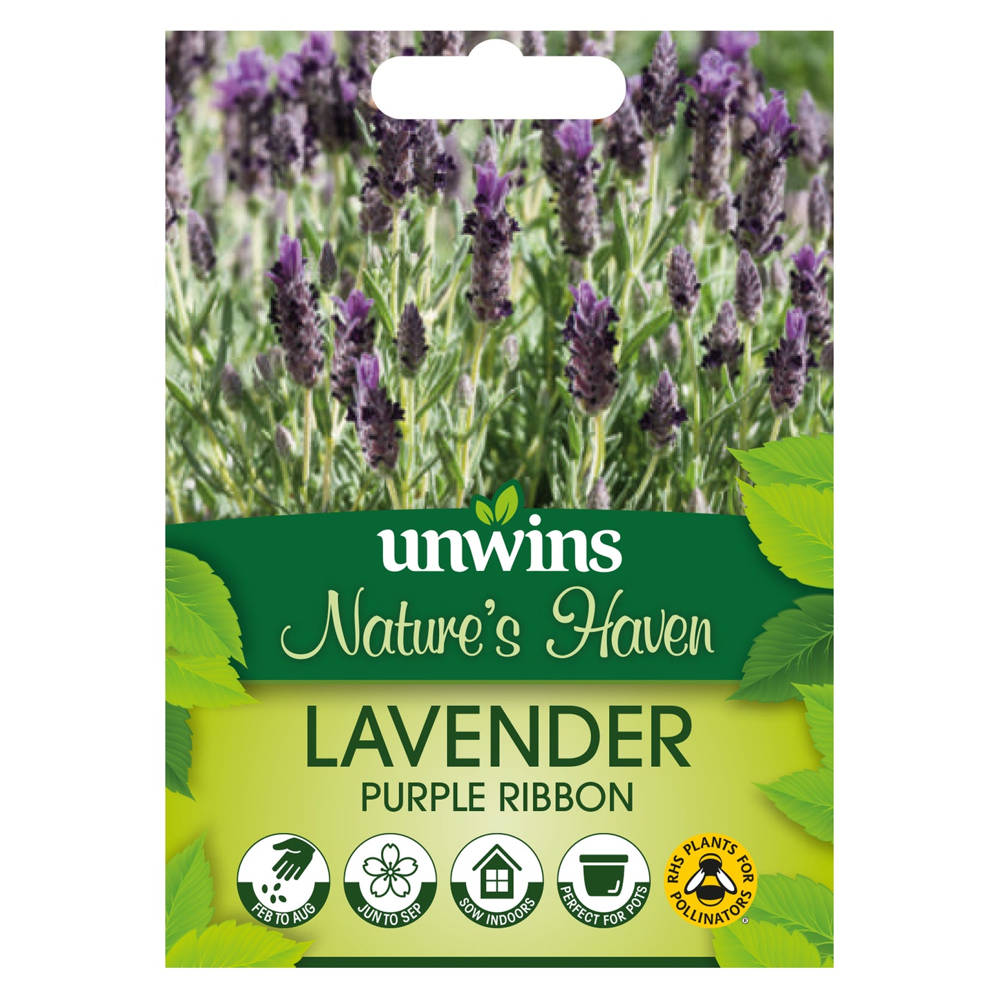 Nature's Haven Lavender Purple Ribbon Seeds front of pack