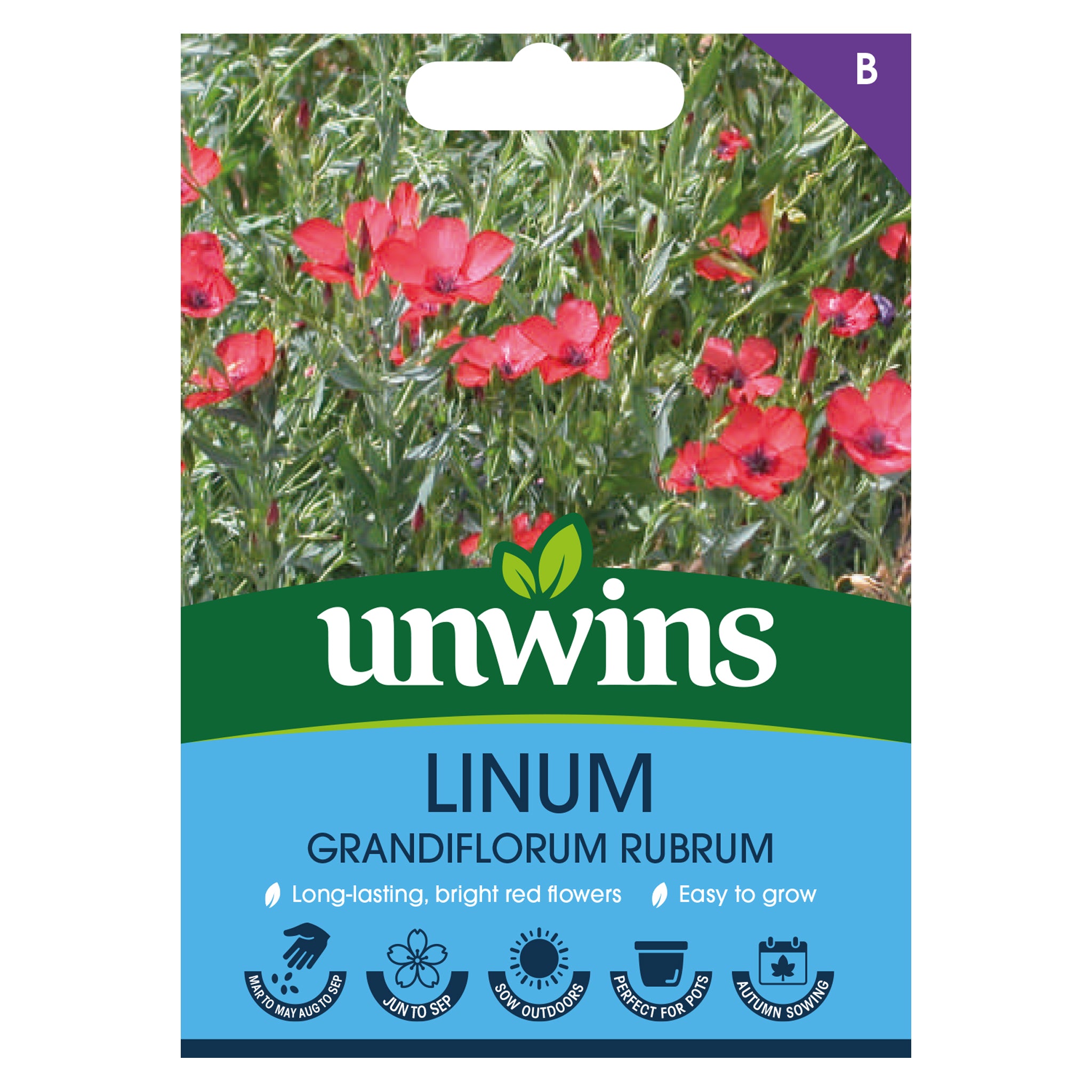 Unwins Linum Grandiflorum Rubrum Seeds