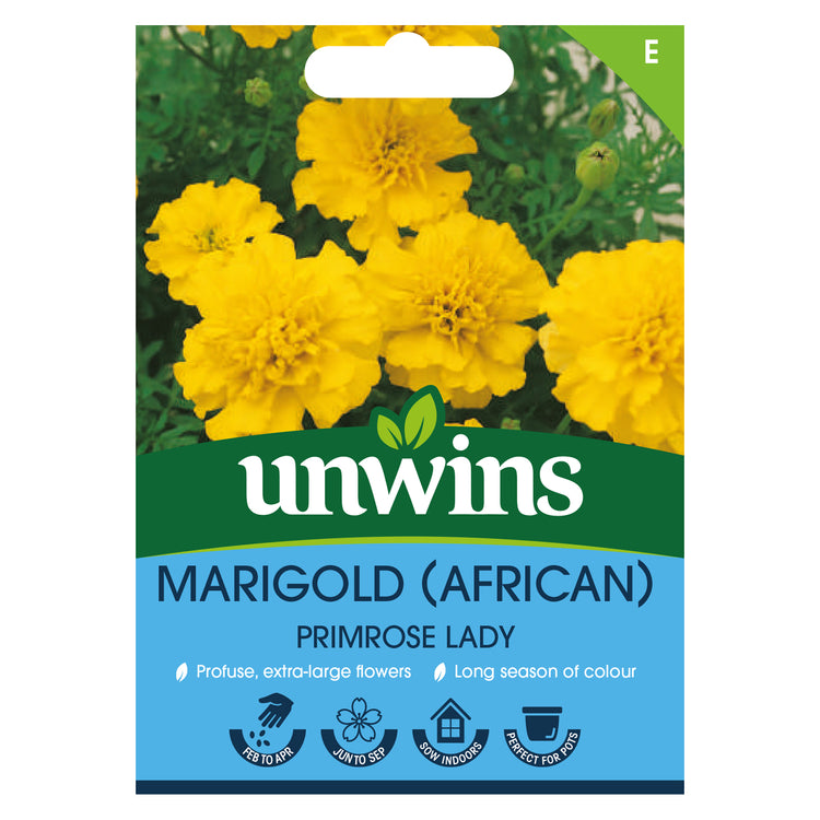 marigold seeds uk Unwins African Marigold Primrose Lady Seeds