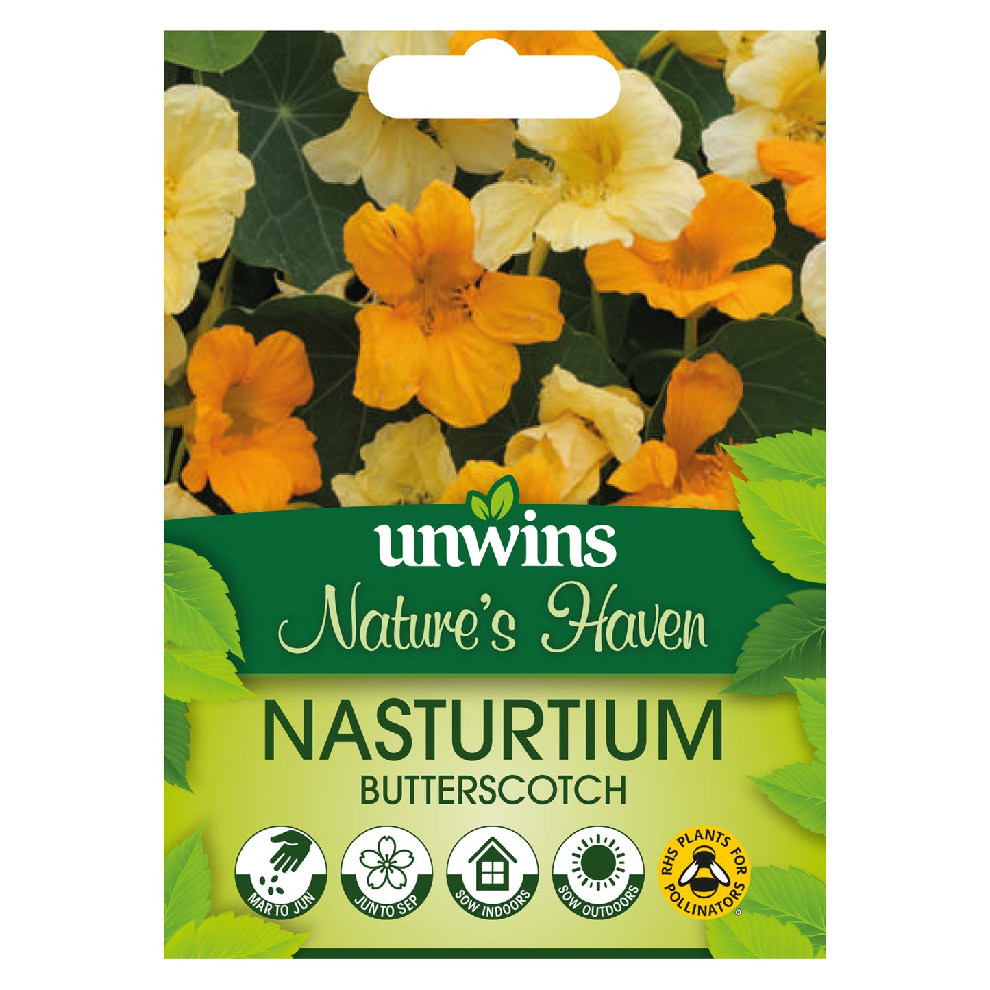 Nature's Haven Nasturtium Butterscotch Seeds front of pack