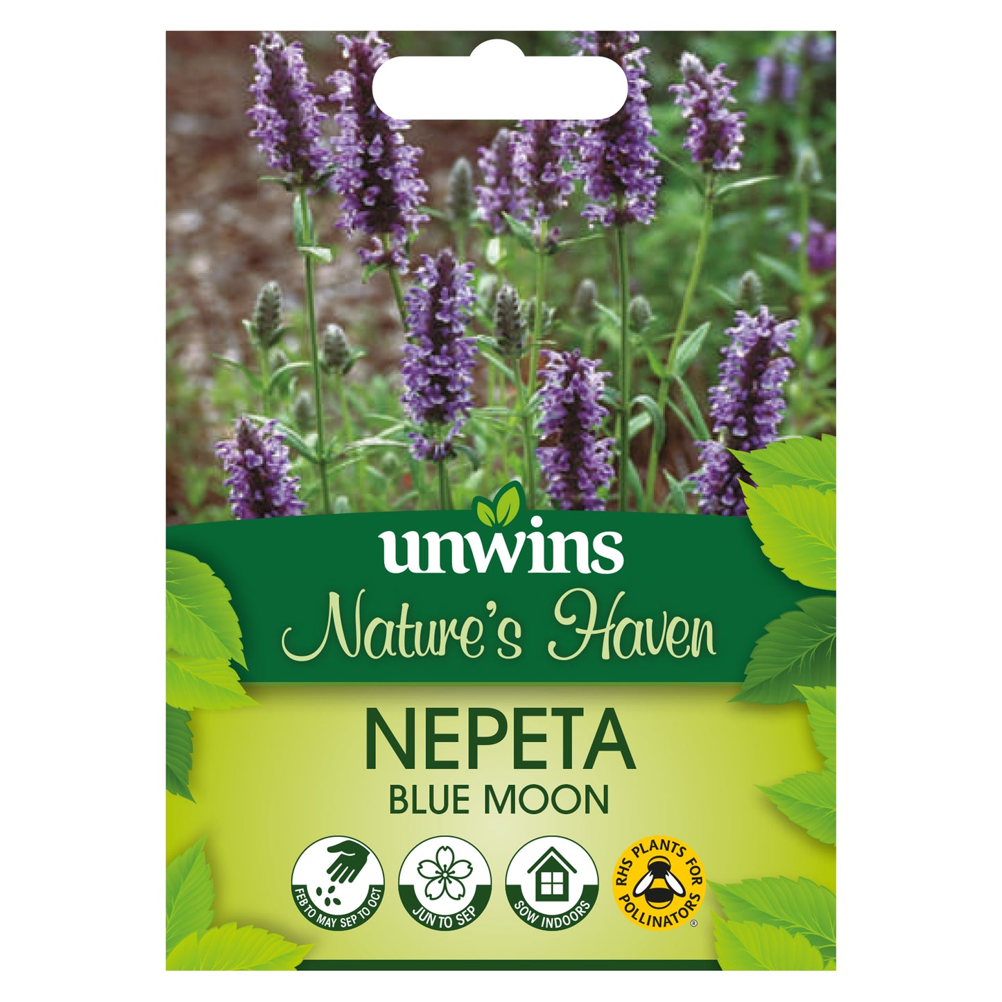 Nature's Haven Nepeta Blue Moon Seeds Front