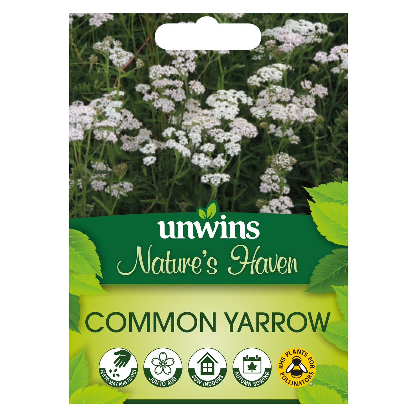 Nature's Haven Common Yarrow Seeds Front
