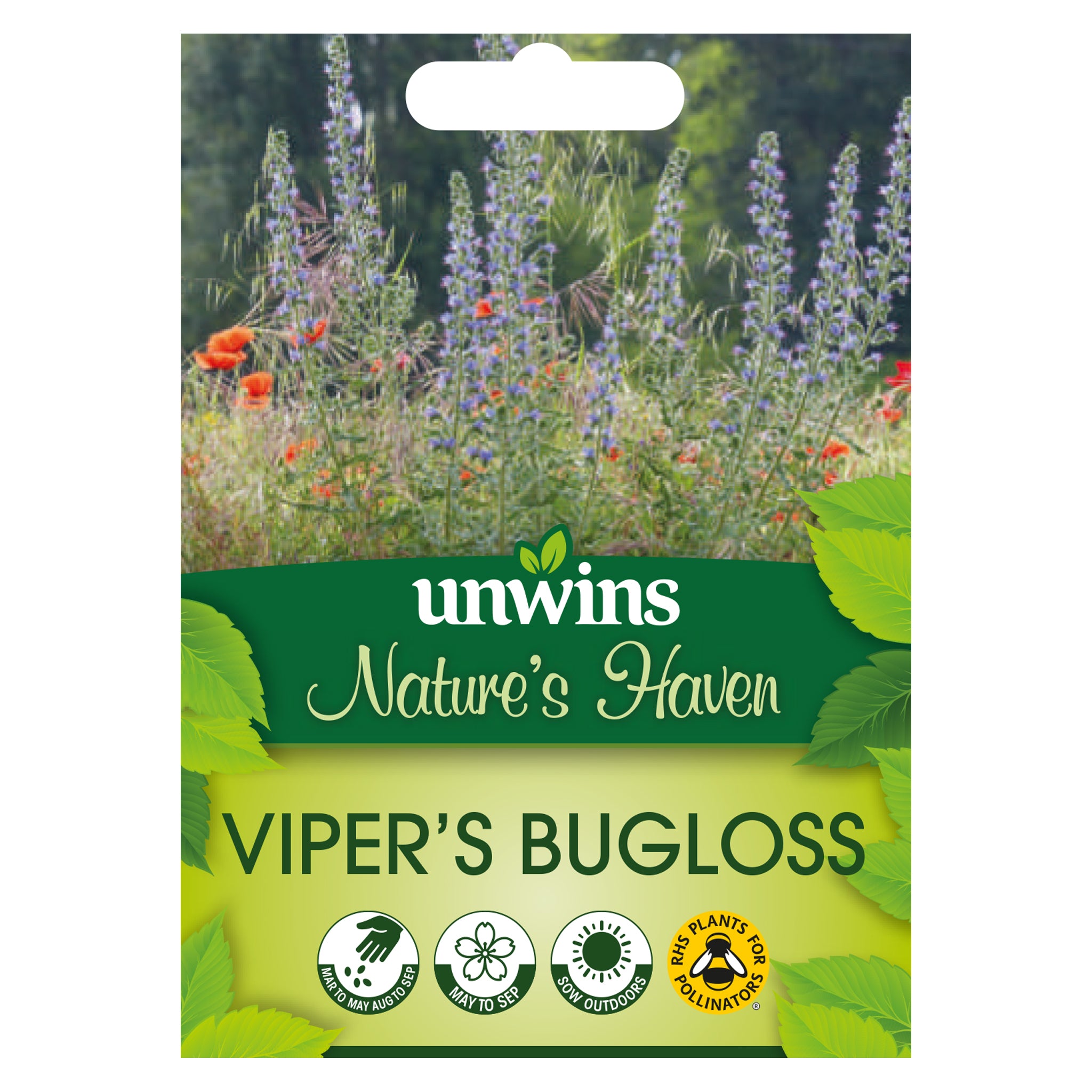 Nature's Haven Viper's Bugloss Seeds