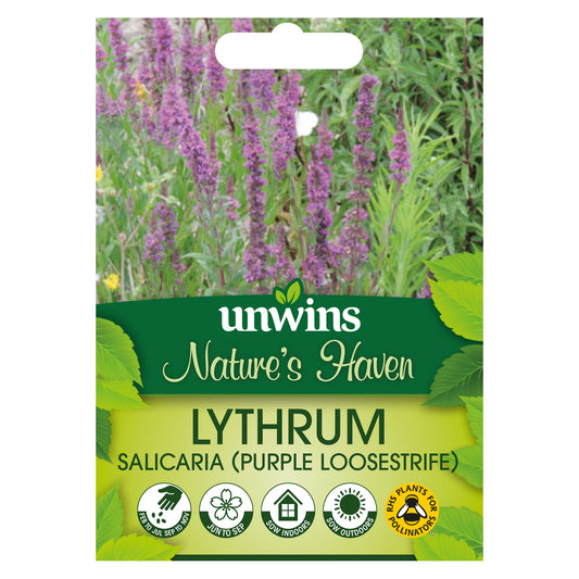 Nature's Haven Lythrum Salicaria Purple Loosestrife Seeds front of pack