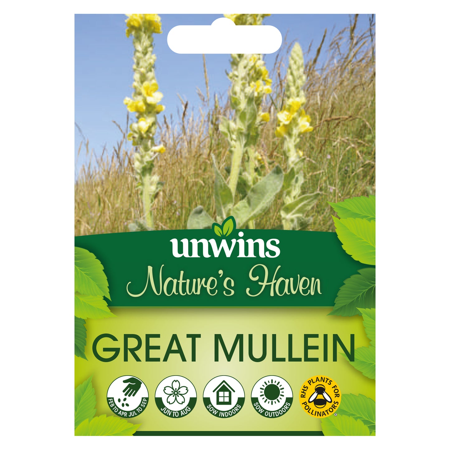 Nature's Haven Great Mullein Seeds front of pack